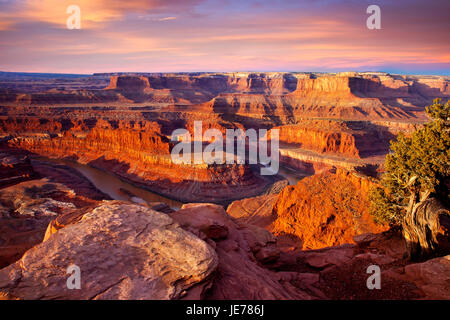 Sonnenaufgang über dem Colorado River unter Dead Horse Point State Park in der Nähe von Moab, Utah, USA Stockfoto