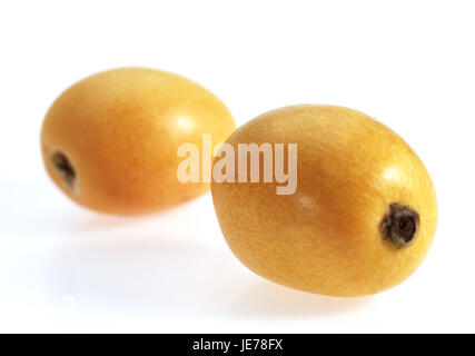 Japanische Wolle Mispel, Eriobotrya Japonica, weißer Hintergrund, Stockfoto