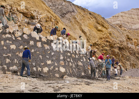 Straßenbauarbeiten in der Straße von den Manasarovar See ins Königreich Guge, West-Tibet, Asien, Stockfoto