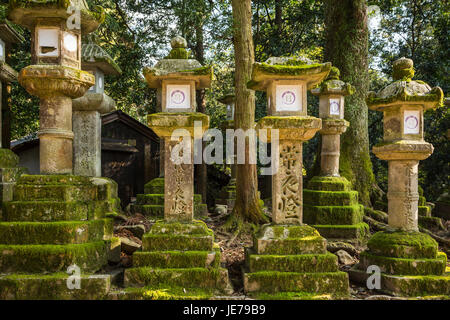 Viele Moos bedeckt Steinlaternen säumen den Gehweg in Nara-Park, Nara, Präfektur Nara, Insel Honshu, Japan. Stockfoto