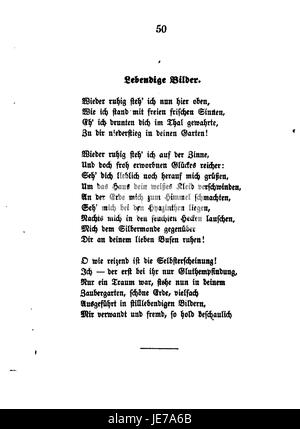 Eine Seite aus der Reihe „de Schefer Werke“, Band 10, Nummer 50. Diese Sammlung ist Teil eines umfassenden Werkes, das die Beiträge Schefers auf dem Gebiet der Literatur oder Philosophie dokumentiert. Stockfoto