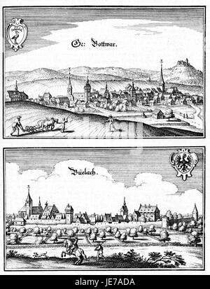 Ein Bild aus de Merian Sueviae, Seite 065, mit einer detaillierten botanischen oder naturgeschichtlichen Illustration, die spezifische Flora oder Fauna erfasst. Stockfoto