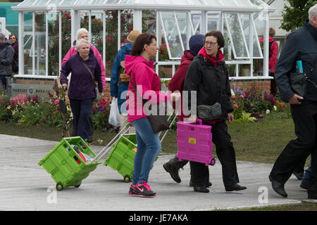 Leute laufen, einige ziehen zusammenfaltbare Einkaufswagen und plaudern - First RHS Chatsworth Flower Show, Chatsworth House, Derbyshire, England, Großbritannien. Stockfoto