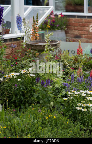 Hartley Botanic Messestand mit Gewächshäusern & Blütenpflanzen auf Display - RHS Chatsworth Flower Show, Chatsworth House, Derbyshire, England, UK. Stockfoto