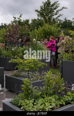 Menschen bewundern einzigartige tragbare Betten im Moveable Feast Garten "bei der ersten RHS Chatsworth Flower Show, Chatsworth House, Derbyshire, England, UK. Stockfoto