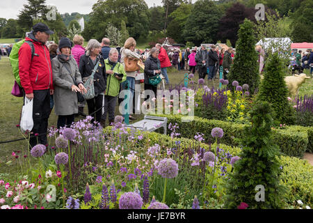 Die Mitglieder des public viewing Erfahrung & Derbyshire Peak District Garten'-RHS Flower Show, Chatsworth Chatsworth House, Derbyshire, England, UK. Stockfoto