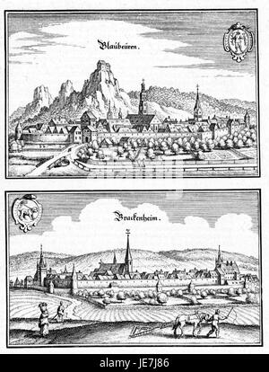 „De Merian Sueviae 058“ ist eine botanische Illustration, die die Flora aus der schwäbischen Region darstellt, die von Maria Sibylla Merian geschaffen wurde und die in der Region heimischen Pflanzenarten zeigt. Stockfoto