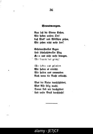 „De Schefer Werke 10 036“ bezieht sich auf einen bestimmten Band oder ein bestimmtes Kunstwerk aus der Sammlung Schefer Works, zu dem auch Werke im Zusammenhang mit dem industriellen oder mechanischen Design gehören. Die Serie trägt zum Verständnis technischer Kunstfertigkeit und Ingenieurskunst bei. Stockfoto