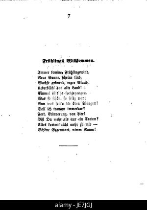 Ein Band aus der Reihe *de Schefer Werke*, der einen wissenschaftlichen Einblick in die Werke und Beiträge des Künstlers de Schefer bietet und wahrscheinlich Analysen und Bilder seiner Werke enthält. Stockfoto