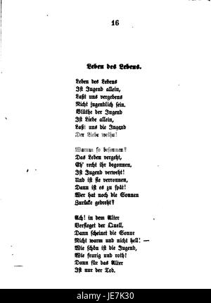 „De Schefer Werke 10 016“ bezieht sich auf einen Band oder ein Werk des Künstlers oder Gelehrten, möglicherweise in Verbindung mit der Serie „de Schefer Werke“, einer Sammlung, die eine Vielzahl von künstlerischen Werken oder Manuskripten zeigt. Stockfoto