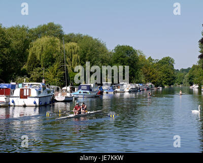 Rudern auf dem River Yare, Teil des broads National Park, im Thorpe St Andrew, Norwich, England, Großbritannien Stockfoto