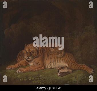 Dieses historische Gemälde oder die historische Darstellung stellt Tiger dar, möglicherweise von Charles Towne, die sich auf die majestätische Darstellung der Tierwelt im 17. Jahrhundert konzentrieren. Stockfoto
