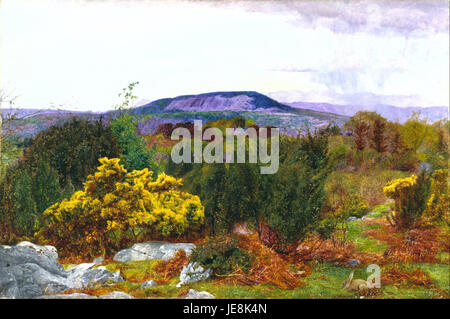 Daniel Alexander Williamson - Frühling, Arnside Knoten und Coniston Reihe von Hügeln aus Warton Crag- Stockfoto