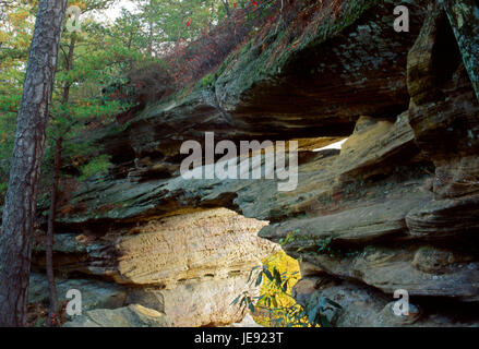 Double Arch, Red River Gorge Bereich, Daniel Boone National Forest, Kentucky 10 09 Stockfoto