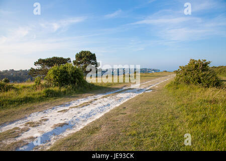 Der weiße Saxon Shore Weg Weg durch die Landschaft in der Nähe von White Cliffs of Dover Stockfoto