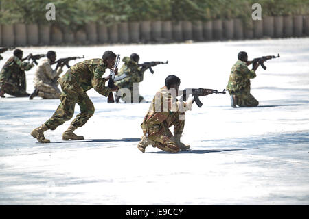 2014-02-21 SNA PASSOUT PARADE 02 (12694037625) Stockfoto