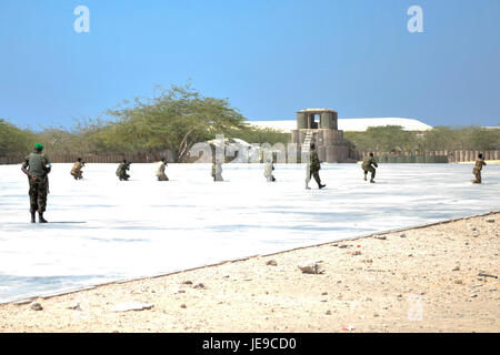 2014-02-21 SNA PASSOUT PARADE 05 (12694016665) Stockfoto