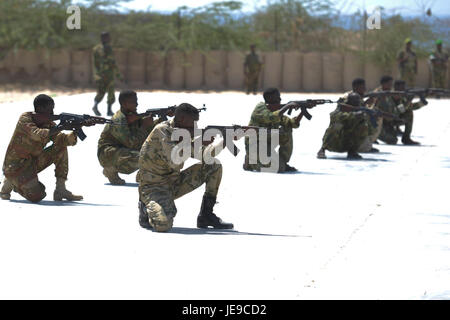 2014-02-21 SNA PASSOUT PARADE 04 (12694191023) Stockfoto