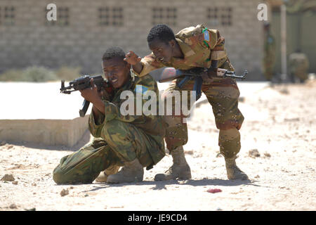 2014-02-21 SNA PASSOUT PARADE 07 (12694184913) Stockfoto