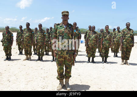 2014-04-15 Passout Parade-3 (13870466805) Stockfoto