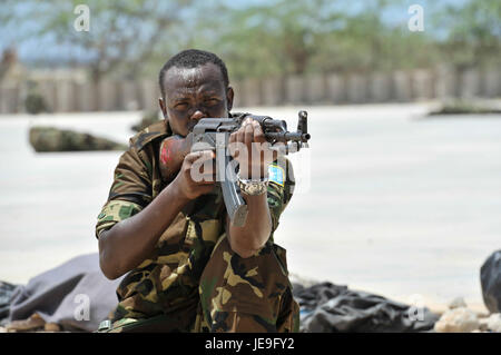 2014-04-15 Passout Parade-5 (13870488093) Stockfoto