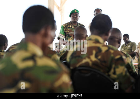 2014-04-15 Passout Parade-8 (13870461263) Stockfoto