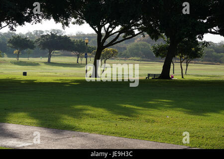 Die Morgenszene im Kapole Park im Mai 2014 zeigt die natürliche Schönheit des Parks bei Sonnenaufgang. Das Foto fängt ruhige Landschaften ein, wobei das Sonnenlicht durch die Bäume filtert und ein warmes Licht auf die Wege und die Flora des Parks wirft. Stockfoto