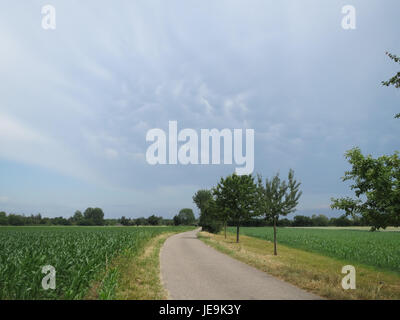 Dieses Foto zeigt einen schweren Sturm (unfeuchter) in Hockenheim, Deutschland, und zeigt die intensiven Wetterbedingungen, die typisch für Sommergewitter in Mitteleuropa sind. Stockfoto