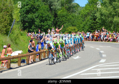 16 / 07 / 2014 Etape 11 du Tour de France. Feld 2. Kostenloses Bild langjährigem. Kein copyright Stockfoto