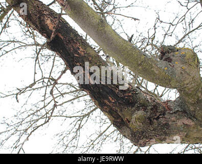 Dieses Foto, das am 28. März 2013 in Brünn, Tschechien, aufgenommen wurde, fängt die urbane Landschaft mit ihrer charakteristischen Architektur und Umgebung ein und zeigt die Mischung aus modernen und historischen Elementen der Stadt. Stockfoto