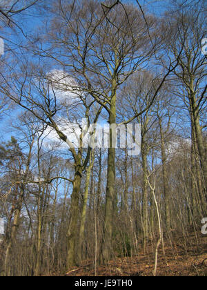 Der Titel „20130407Halberg08“ bezieht sich wahrscheinlich auf ein Foto oder Dokument vom 7. April 2013, das mit dem Ort oder Motiv „Halberg“ assoziiert ist. Sie kann ein bestimmtes Ereignis, einen bestimmten Ort oder eine kulturelle Referenz darstellen. Stockfoto