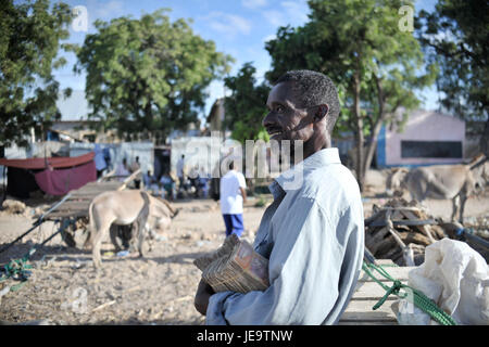 Ein Foto vom Bakara Animal Market, aufgenommen am 14. April 2013. Das Bild zeigt eine geschäftige Marktszene mit verschiedenen Tieren, die gehandelt werden, und zeigt die Rolle des Marktes im lokalen Handel und in der Landwirtschaft. Stockfoto