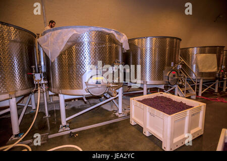 Weingut Arbeiter, Reinigung Edelstahl Gärtank, Gärung Bereich, St. Helena, Napa Valley, Failla Winery, Napa County, Kalifornien Stockfoto