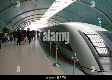 Am 15. November 2014 war der Maglev-Zug an der Longyang Road Station in Shanghai ein wichtiges Verkehrsmittel, das die Stadt mit dem Flughafen verband. Dieser Hochgeschwindigkeitszug mit magnetischem Schwebezug ist einer der schnellsten Züge der Welt und erreicht Geschwindigkeiten von bis zu 431 km/h (268 mph) und steht für modernste Transporttechnologie in China. Stockfoto