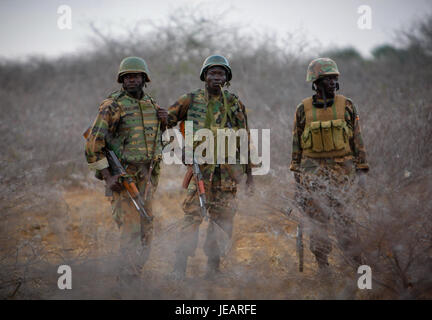 2013-02-27 Buur-Hakba e (8550040119) Stockfoto