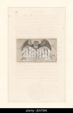 Benjamin Franklin, einer der Gründungsväter der Vereinigten Staaten, ist in diesem Bild dargestellt. Franklin ist bekannt für seine Beiträge zur Wissenschaft, Diplomatie und zur Bildung der amerikanischen Unabhängigkeit und bleibt eine prominente historische Persönlichkeit. Stockfoto