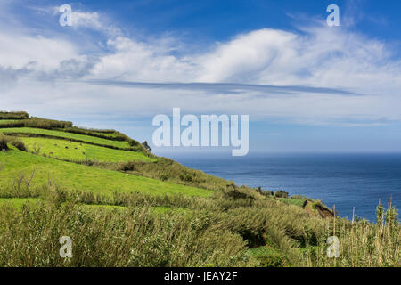 Ackerland und Weiden am nördlichen Küste Insel Sao Miguel. Die Insel gehört zu den Azoren im Atlantischen Ozean. Stockfoto