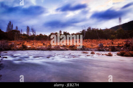 Felsigen Riffelung auf THredbo Tal Thredbo Fluss im Kosciuszko-Nationalpark Australiens bei Sonnenuntergang. Verschwommen, strömendes Wasser vor Kaugummi Baum bedeckt Stockfoto