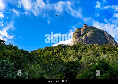 Zuckerhut über den tropischen Regenwald auf Rio De Janeiro, Brasilien Stockfoto