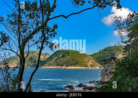 Das Meer durch den Regenwald von Rio De Janeiro Stockfoto