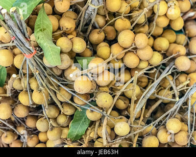 Longan, frische Longan Früchte, Dimocarpus Longan, Frucht aus Asien, der gleichen Familie von Litschi. Stockfoto