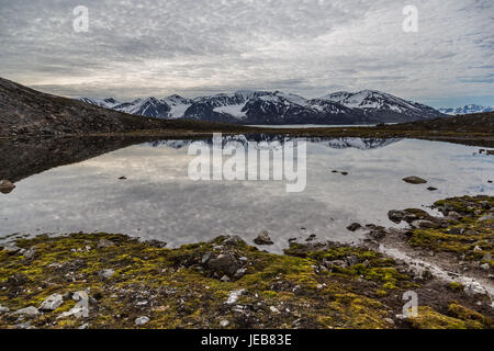 Das zarte Muster der grauen Wolken spiegelt sich in einem kleinen Pool in der Nähe von Makeøyane in Spitzbergen, in der Nähe der Texas Bar Hütte von Trappern verwendet. Stockfoto