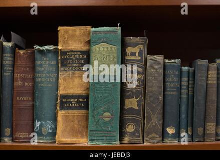 Alten Veterinärmedizin Bücher im Minnesota Veterinary historischen Museum. Stockfoto