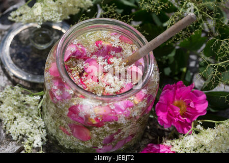 Holunderblüten-Sirup Gemeinsam Mit Blütenblättern von Apothekerrose, Holunderblütensirup, Sirup aus Holunderblüten, Holunderblüte, Holunder-Blüte, Blü Stockfoto