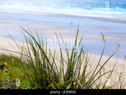 Einsame Gestalt auf Whitesands Beach, Pembrokeshire Coast National Park, West Wales Stockfoto