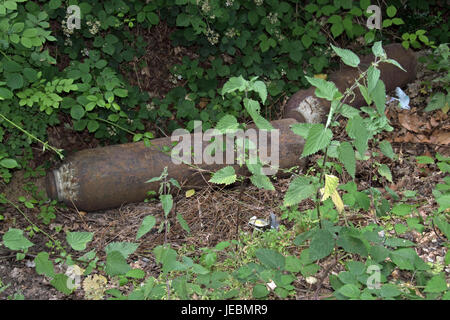 Fliege-Trinkgeld in die grünen Gassen von Buckinghamshire! Stockfoto