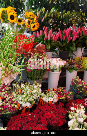 Frische rote rosa weiße Blumen und Sonnenblumen von lokalen Erzeugern in ein Open-Air-Stall an der Ljubljana zentrale Markt Vodnik Quadrat Ljubljana Slowenien Stockfoto