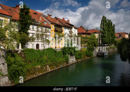 Historische Häuser auf den Efeu bedeckt Hribar Quay Ufer der Ljubljanica Flusses Kanal Wasserstraße in der alten Stadt von Ljubljana Slowenien Stockfoto