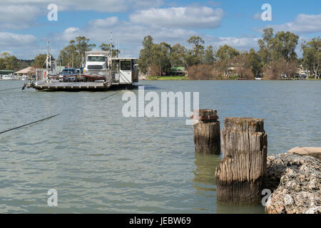 Mannum, South Australia, Australien - 13. August 2016: Fahrzeuge transportiert auf der Fähre bei Mannum am Murray River, South Australia Stockfoto