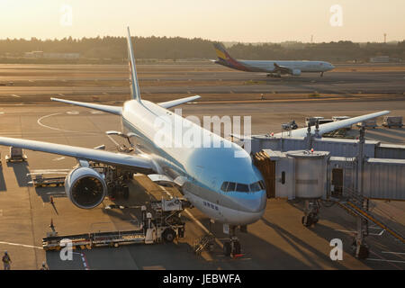 Japan, Tokyo Narita Internationaler Flughafen, Landeplatz, Flugzeuge, Flughafen, außen, Reisen, Reise durch die Luft, Urlaub, Ankunft, Abflug, Sonnenlicht, Stockfoto